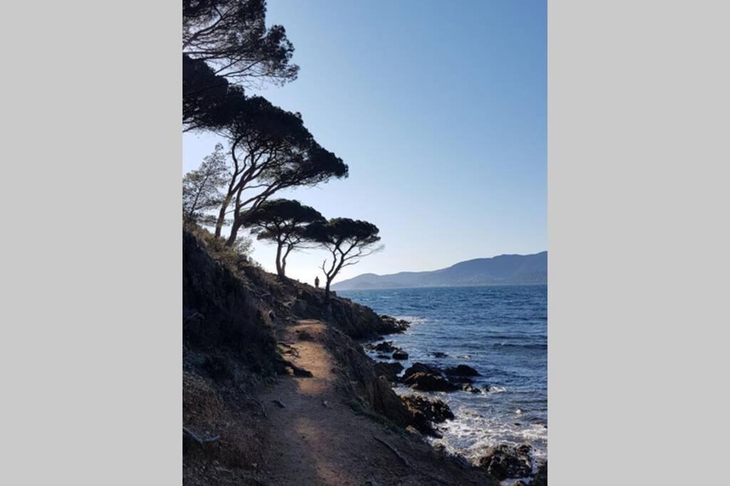 Deux Pieces , Climatise, Terrase, *